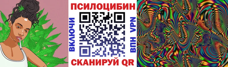 Псилоцибиновые грибы мицелий  закладка  ОМГ ОМГ зеркало  Ленинградская 